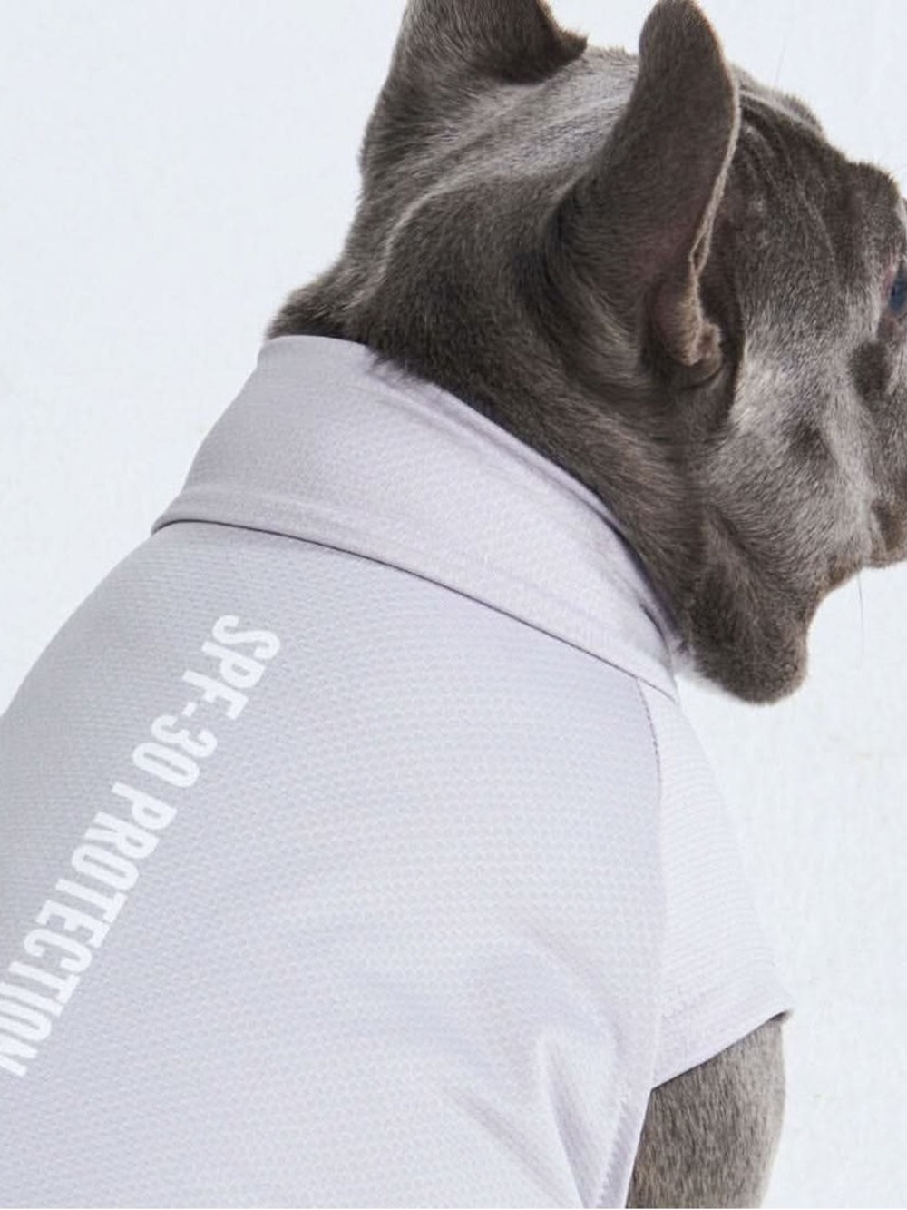 NWT Spark Paws Sunblock Dog tshirt